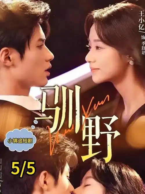 城南旧巷面馆生活治愈剧免费在线观看